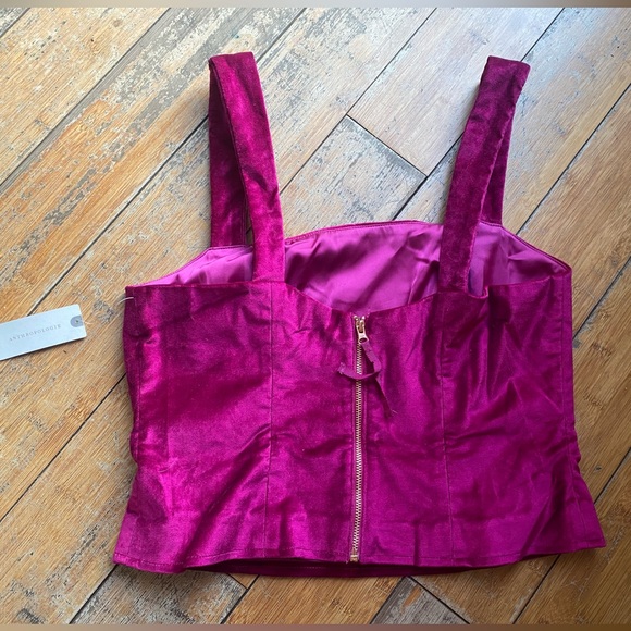 Hot Pink Velour Anthropology Crop Top - Picture 2 of 2